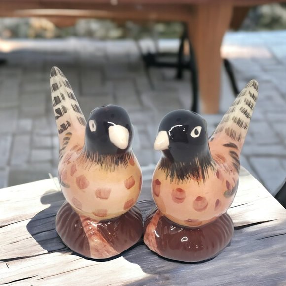Pheasant Salt & Pepper Shakers - Ceramic - Hand Painted - Picture 1 of 7